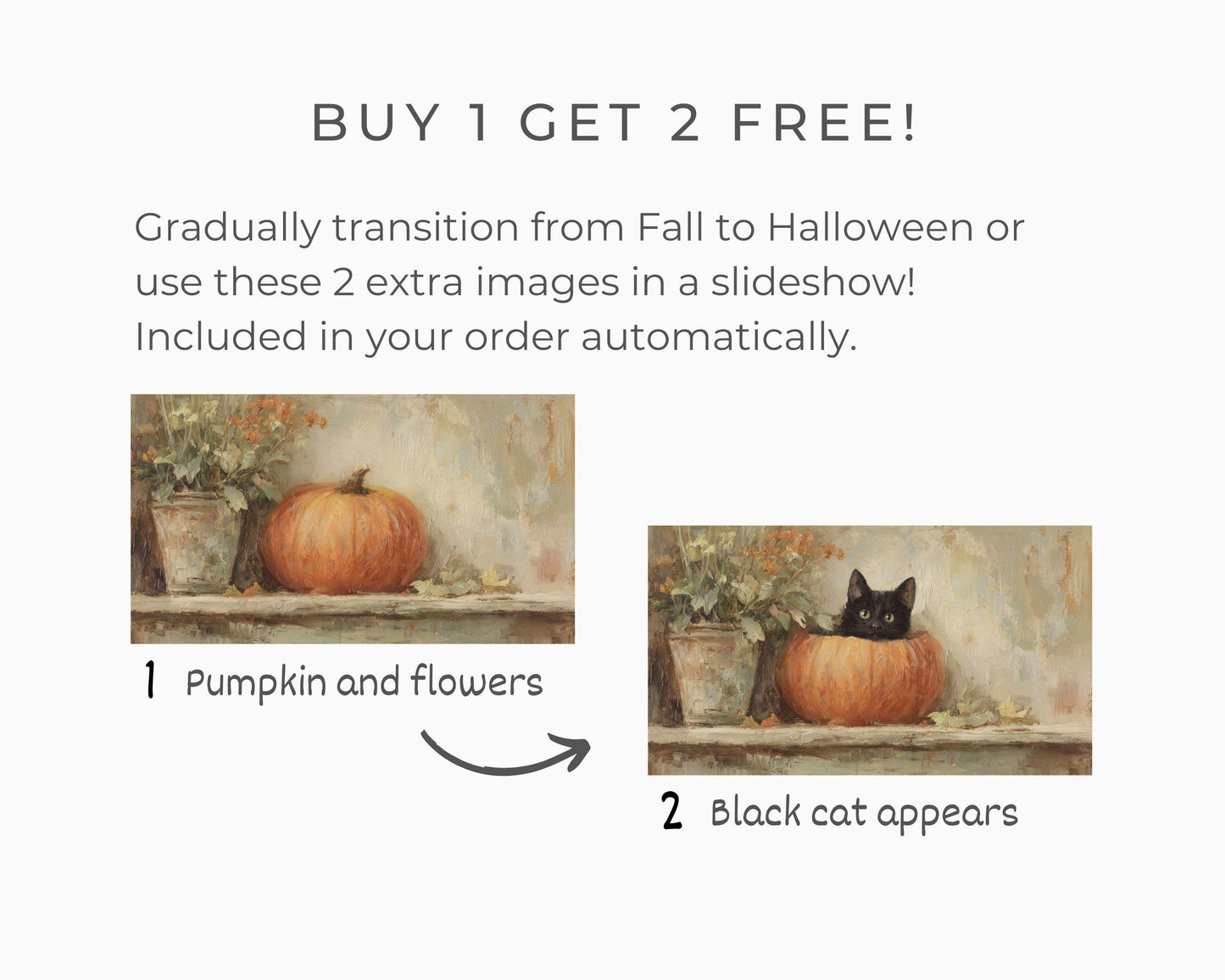 Halloween Black Cat in Pumpkin Frame TV Art