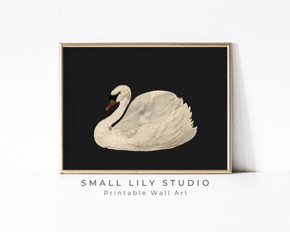 PRINTABLE Swan Black White Print, Moody vintage painting swan wall art, Minimalist watercolor print dark, Instant digital download | P075