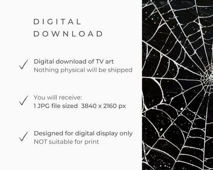 Black and White Spiderweb Halloween Frame TV Art