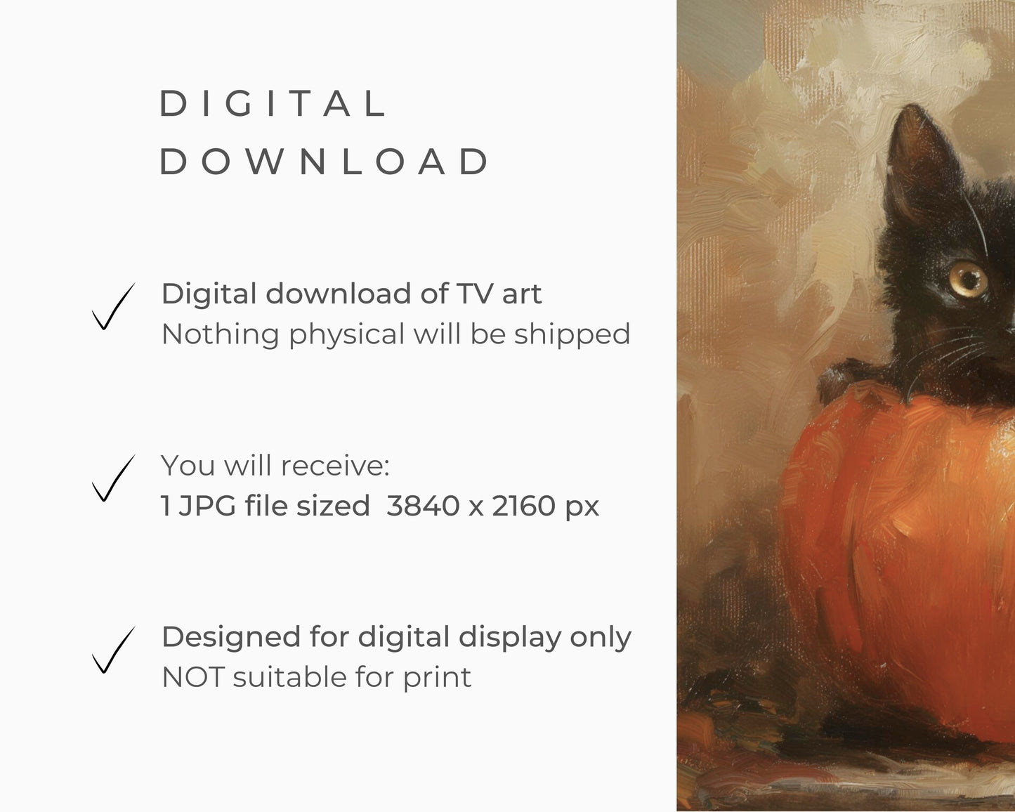 Halloween Black Cat on Pumpkin Frame TV Art