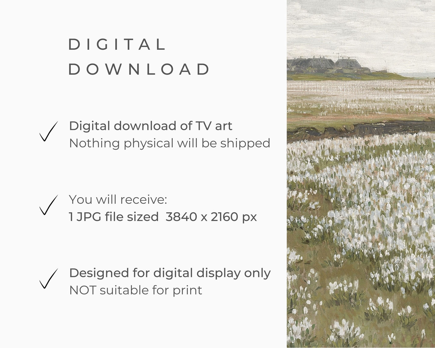 Spring Wildflower Field White Flowers Frame TV Art