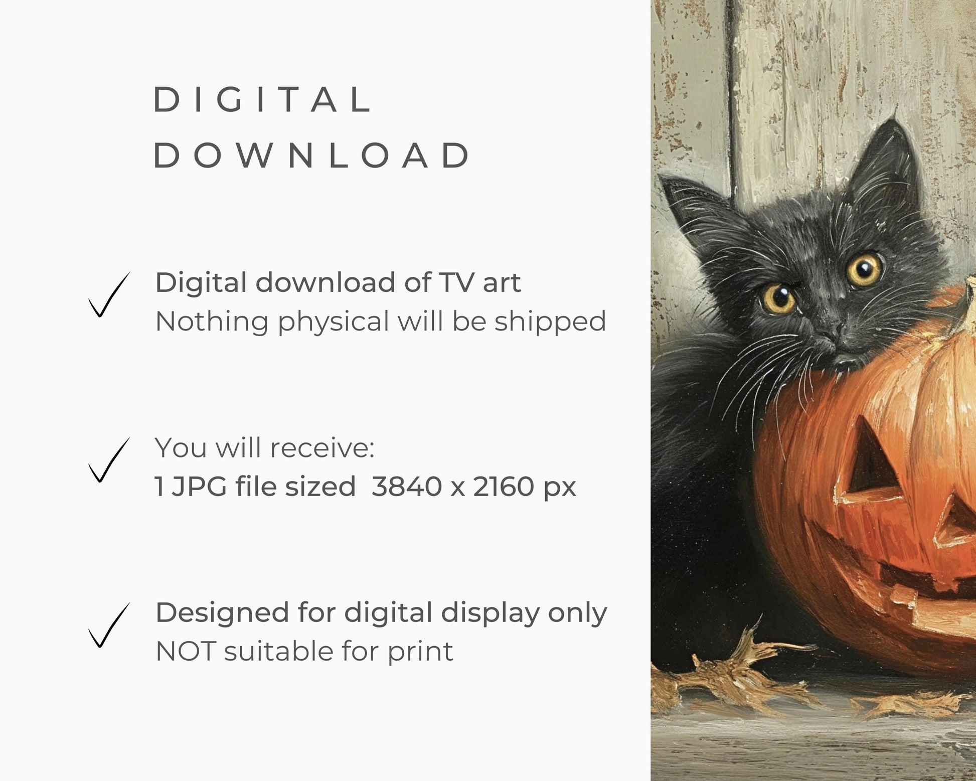 Halloween Black Cat and Pumpkin Frame TV Art