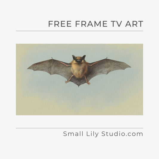 Study of a Common Pipistrelle Bat by Archibald Thorburn - Free Frame TV art