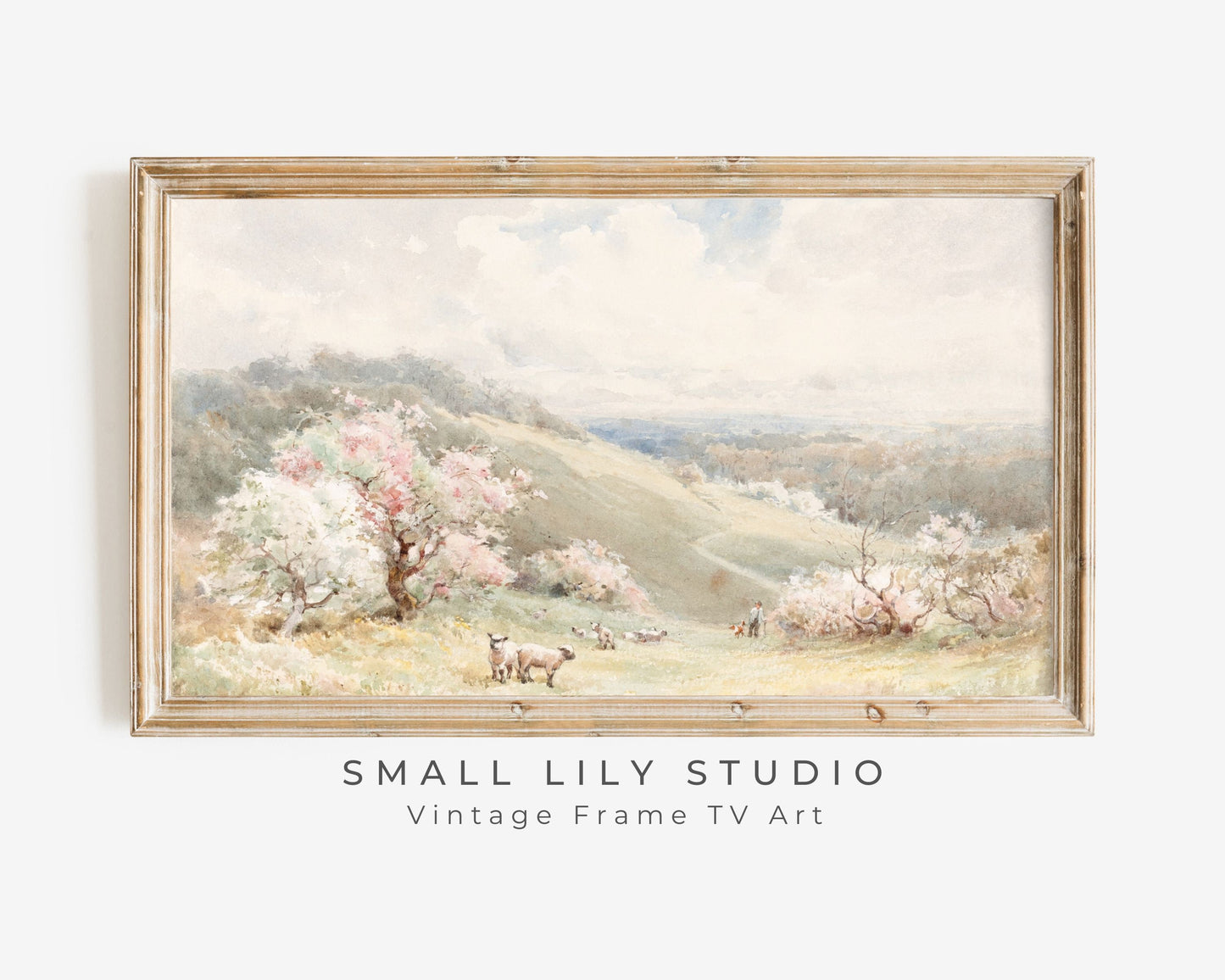 Spring Lambs in Countryside Frame TV Art