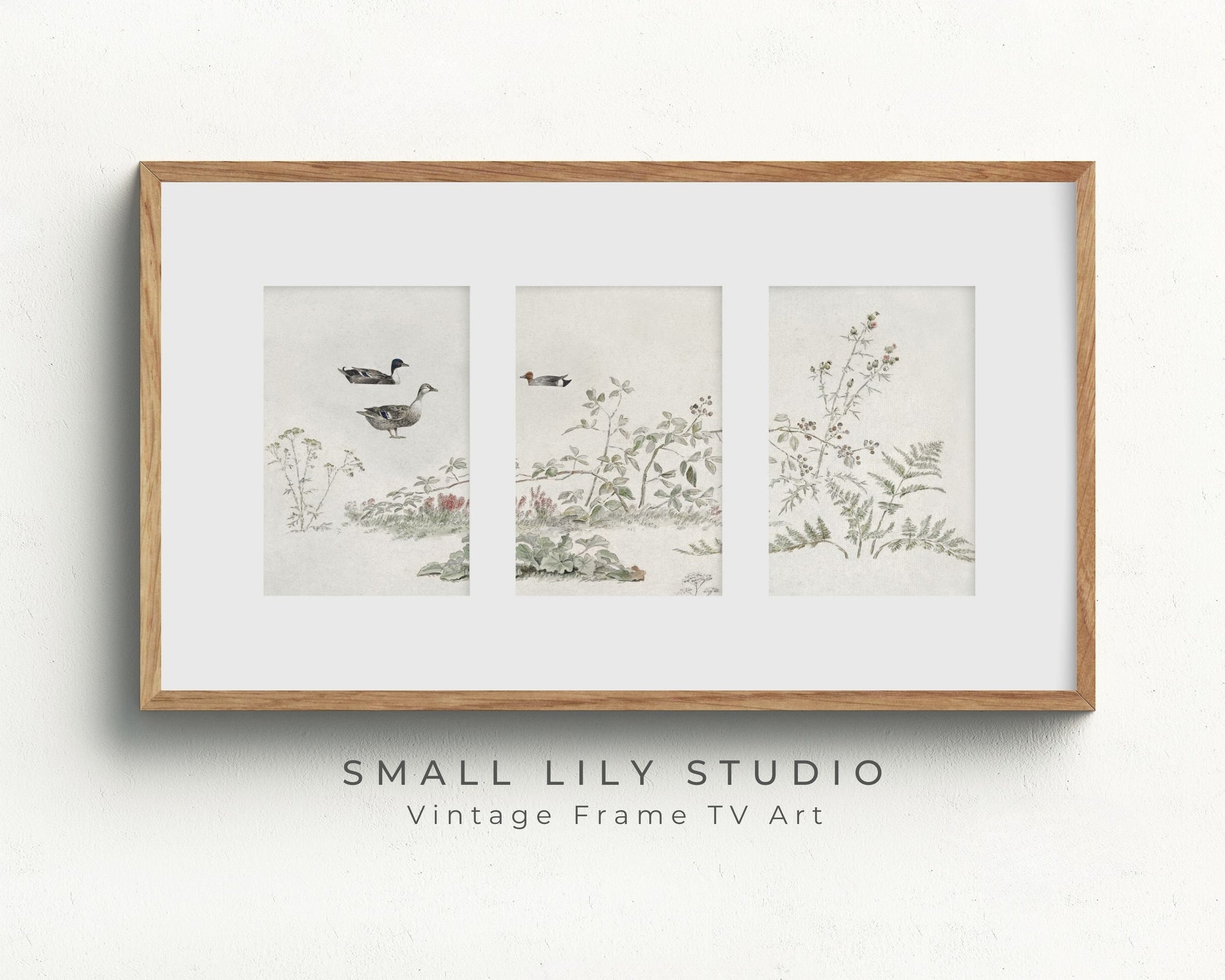 Botanical Triptych Frame TV Art