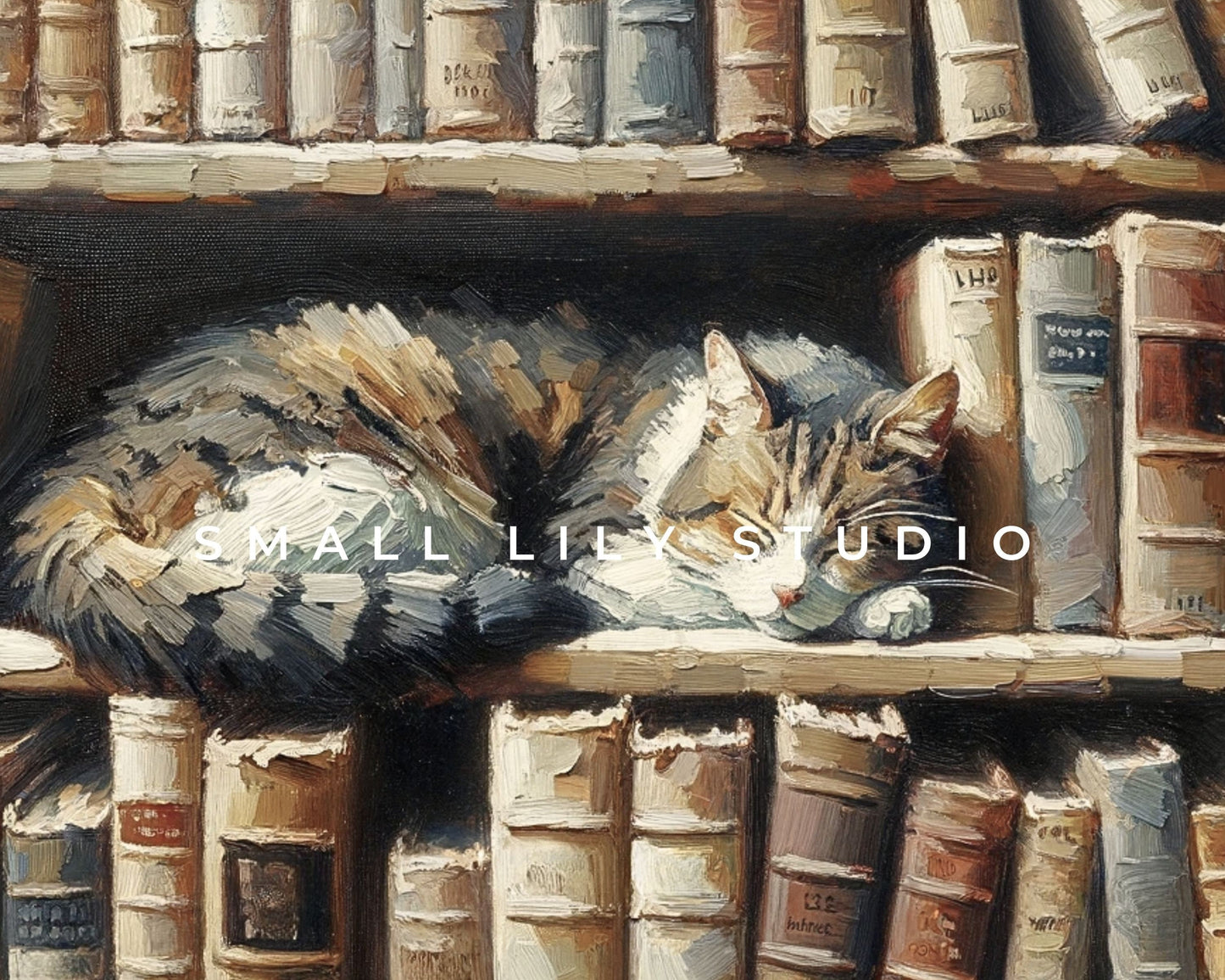 Cat Sleeping On Book Shelf Frame TV Art