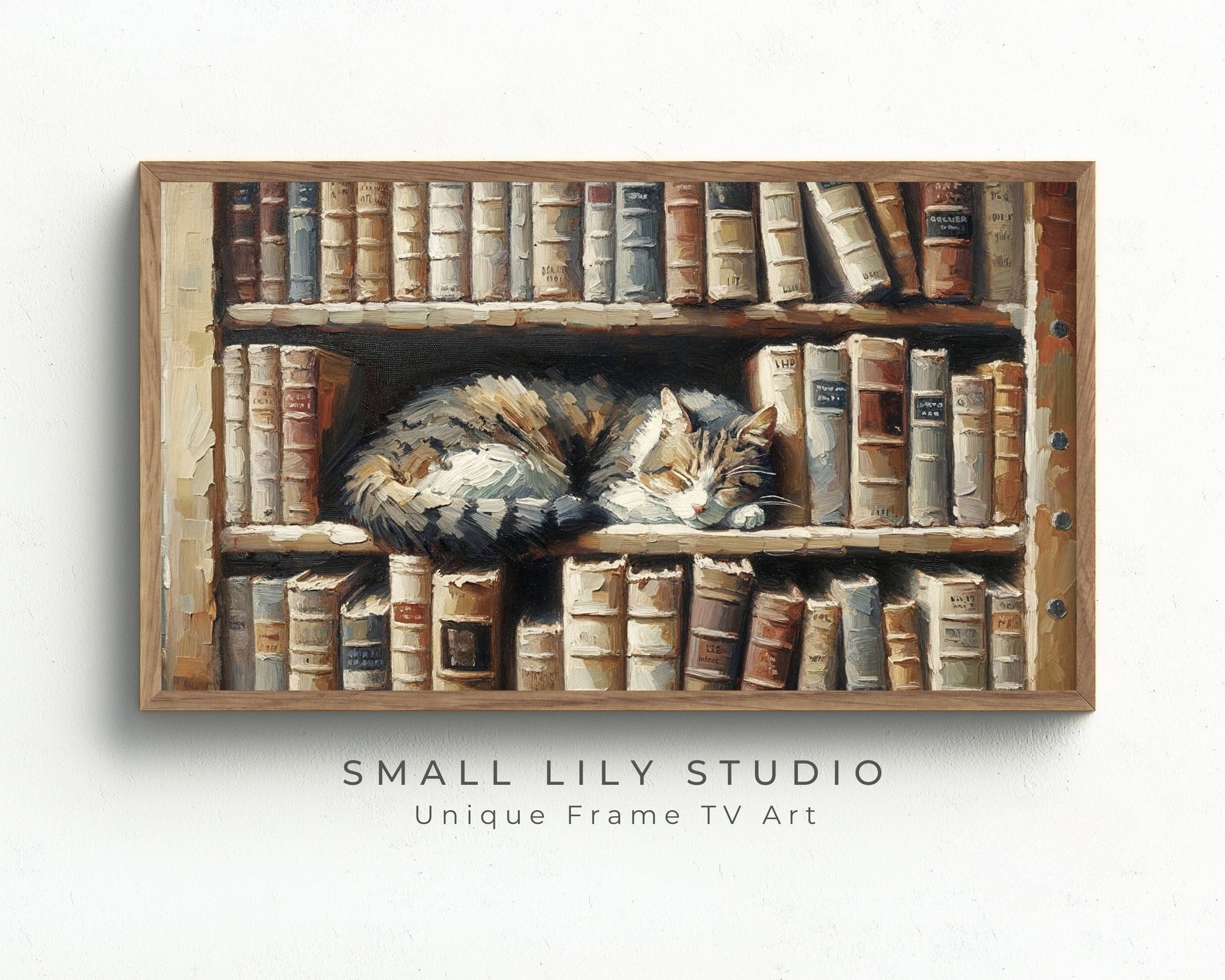 Cat Sleeping On Book Shelf Frame TV Art