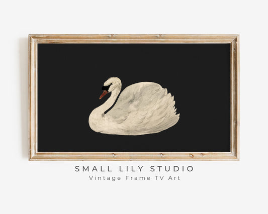 Swan Black White Frame TV Art