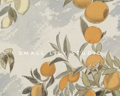 Vintage Orange Tree Printable Wall Art