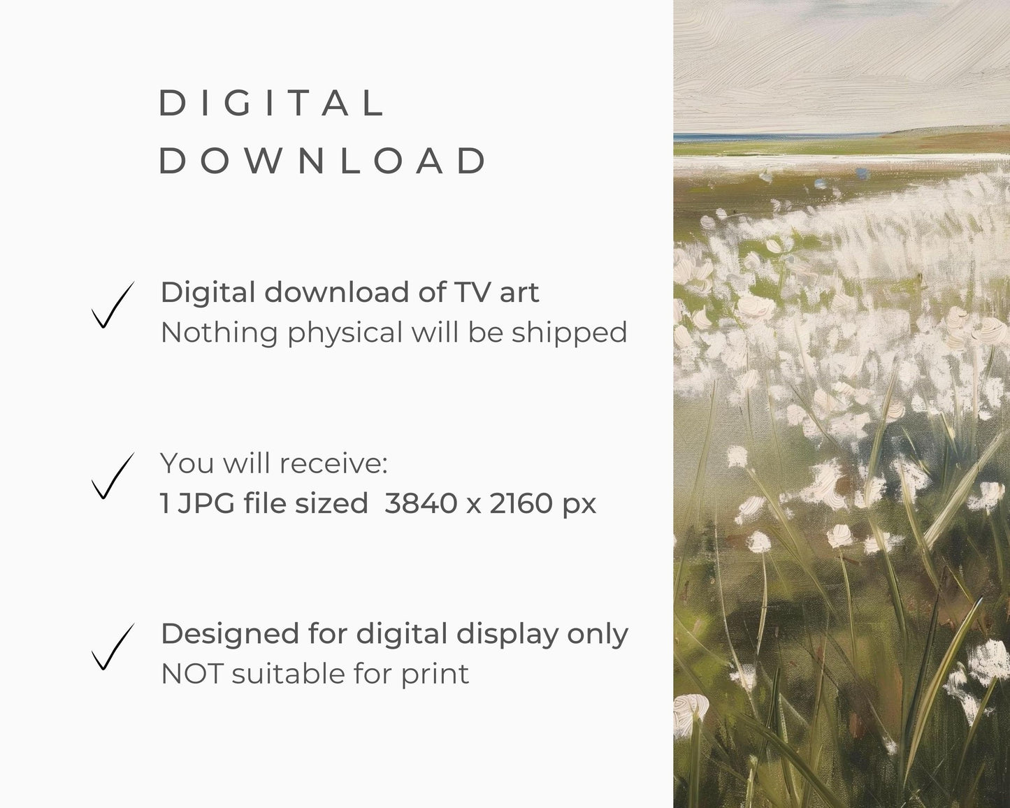 Summer White Wildflowers Frame TV Art