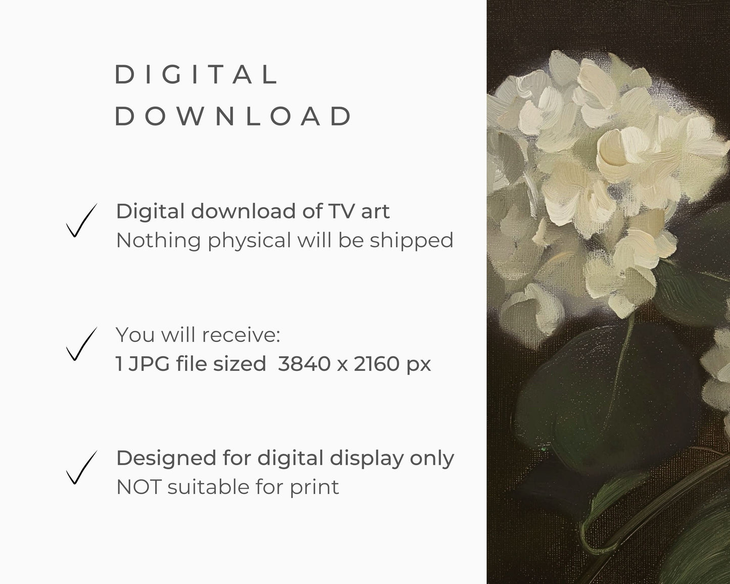 Moody White Hydrangeas Still Life Frame TV Art