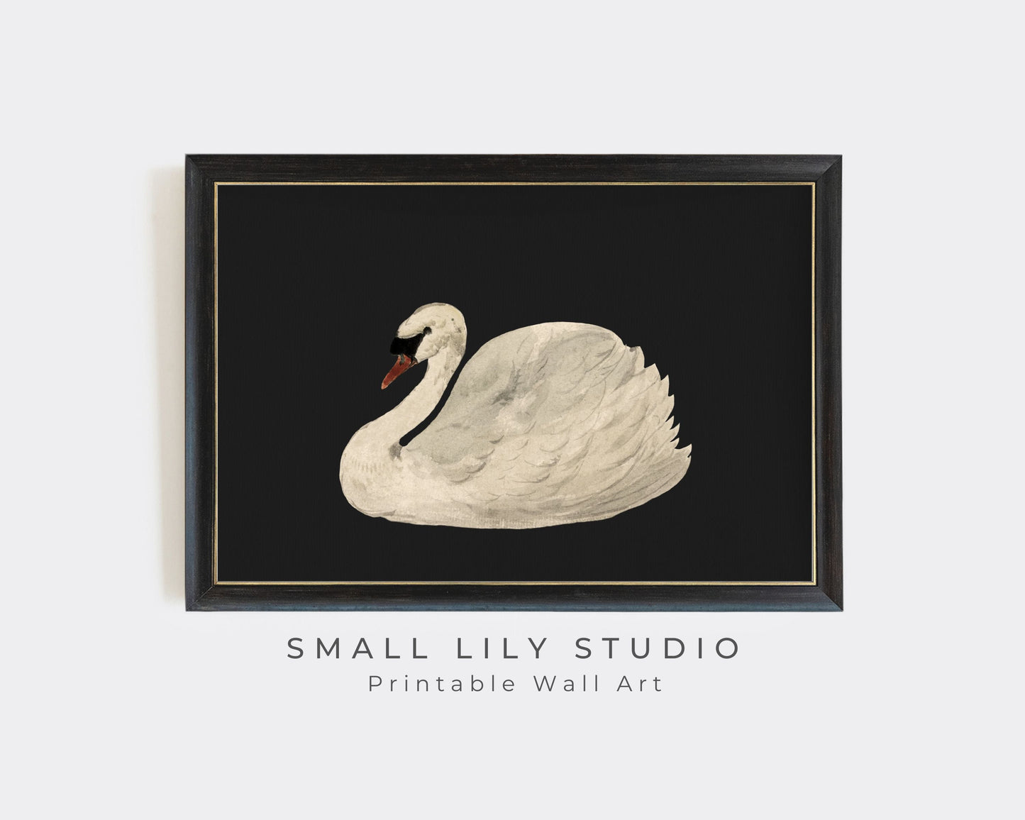 White Swan on Black Printable Wall Art