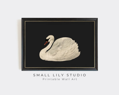 White Swan on Black Printable Wall Art