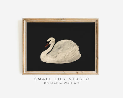 White Swan on Black Printable Wall Art