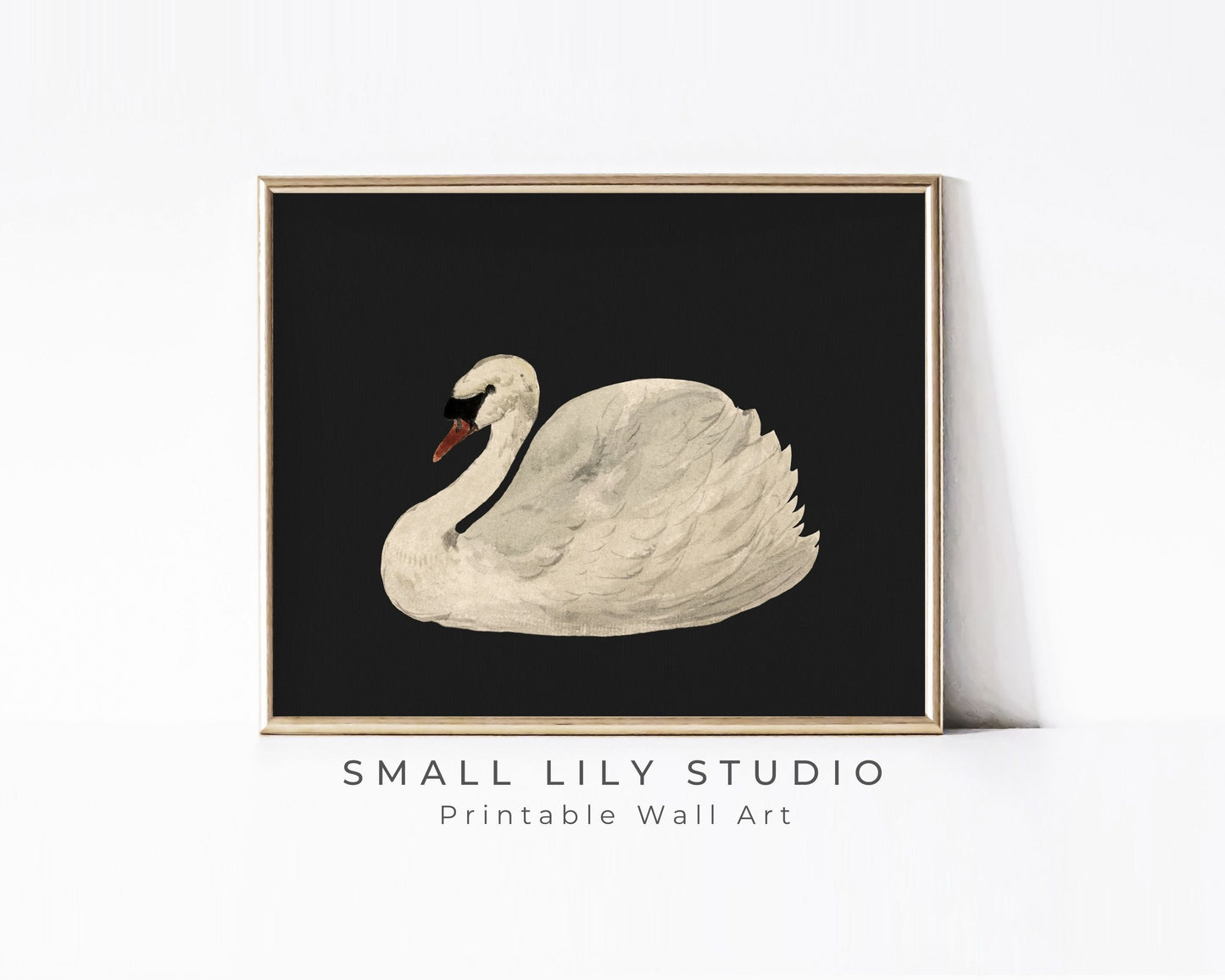 White Swan on Black Printable Wall Art