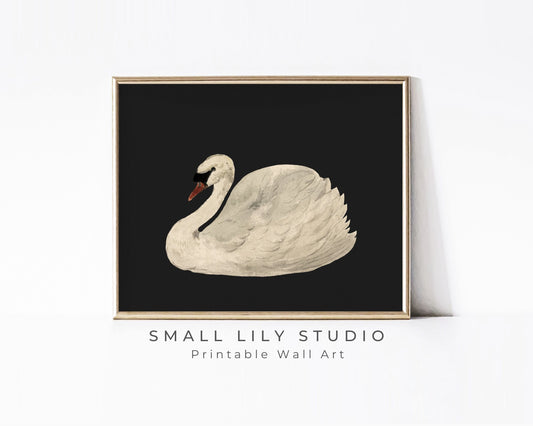 White Swan on Black Printable Wall Art