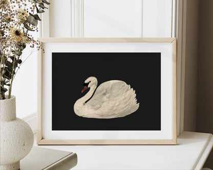 White Swan on Black Printable Wall Art