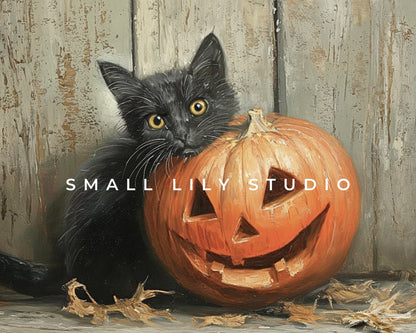 a black cat sitting next to a pumpkin