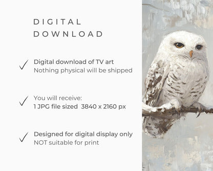 FRAME TV art Cute White Owl in Winter Landscape, Neutral Snowy Owl Tv artwork, Vintage style bird painting Samsung Frame tv art | TV559