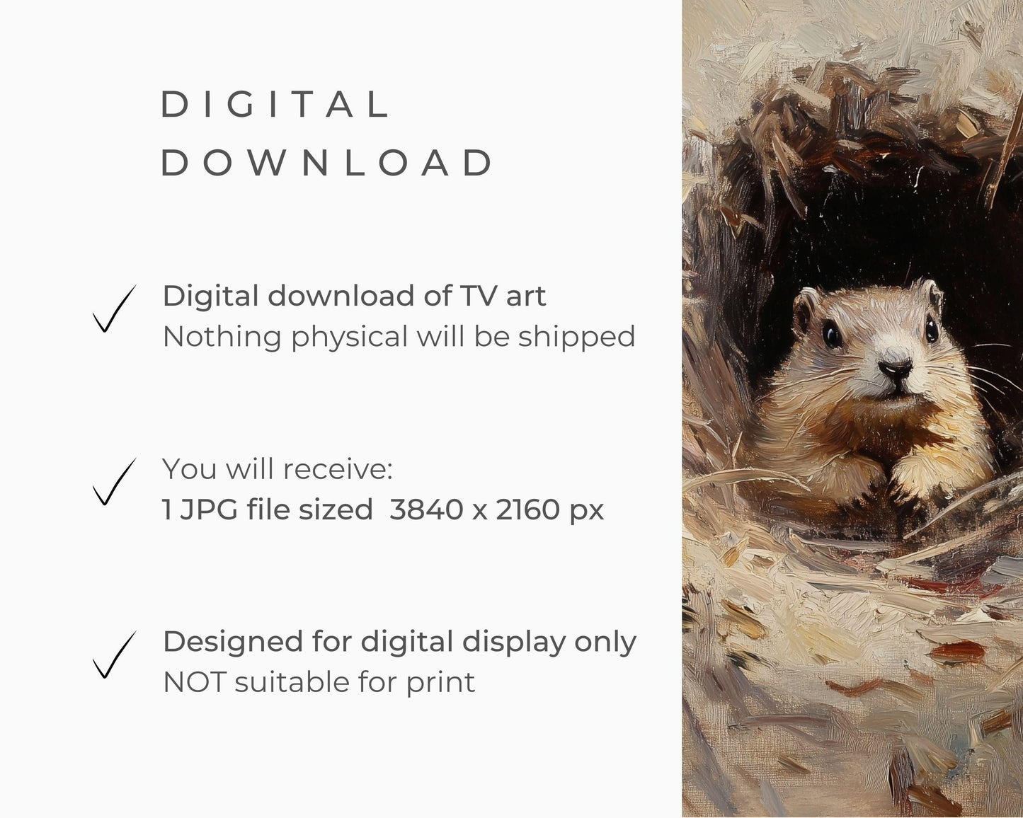 FRAME TV art Groundhog Day, Samsung Frame tv art end of Winter, Cute animal tv picture vintage painting style TV screensaver neutral | TV590