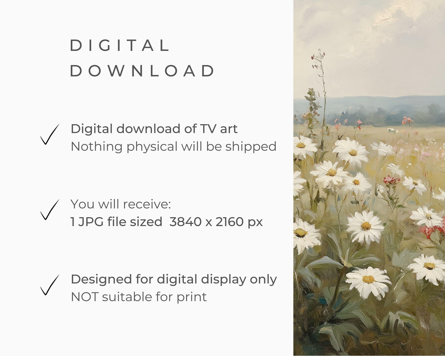 FRAME TV art Field of Daisies, Samsung Frame tv art vintage style painting Spring landscape, Wildflowers grasses sage green white | TV624