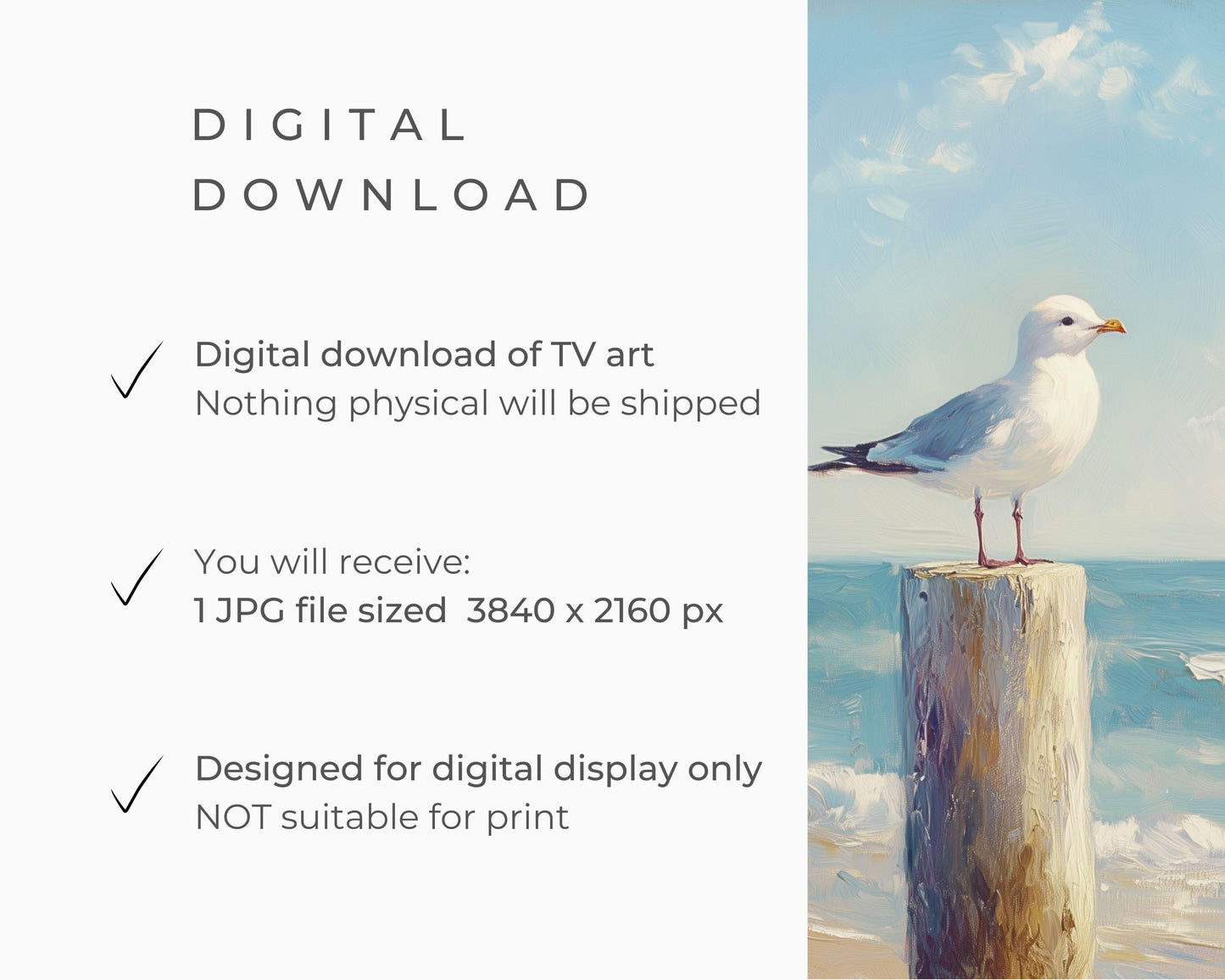 FRAME TV art Seagull on Beach, Coastal Samsung Frame tv art, Fun Cute Summer Tropical picture, Bird lover tv screensaver blue | TV630