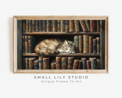 FRAME TV art Cat Sleeping in Dark Library, Samsung Frame TV art for Book lovers, Cute Cat vintage style tv picture bookish painting | TV653