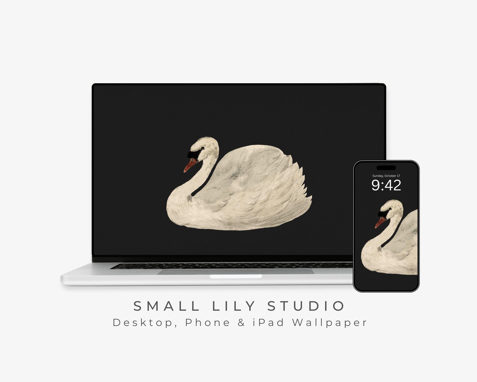 White Swan Desktop Wallpaper Set