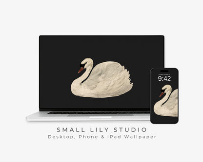 White Swan Desktop Wallpaper Set