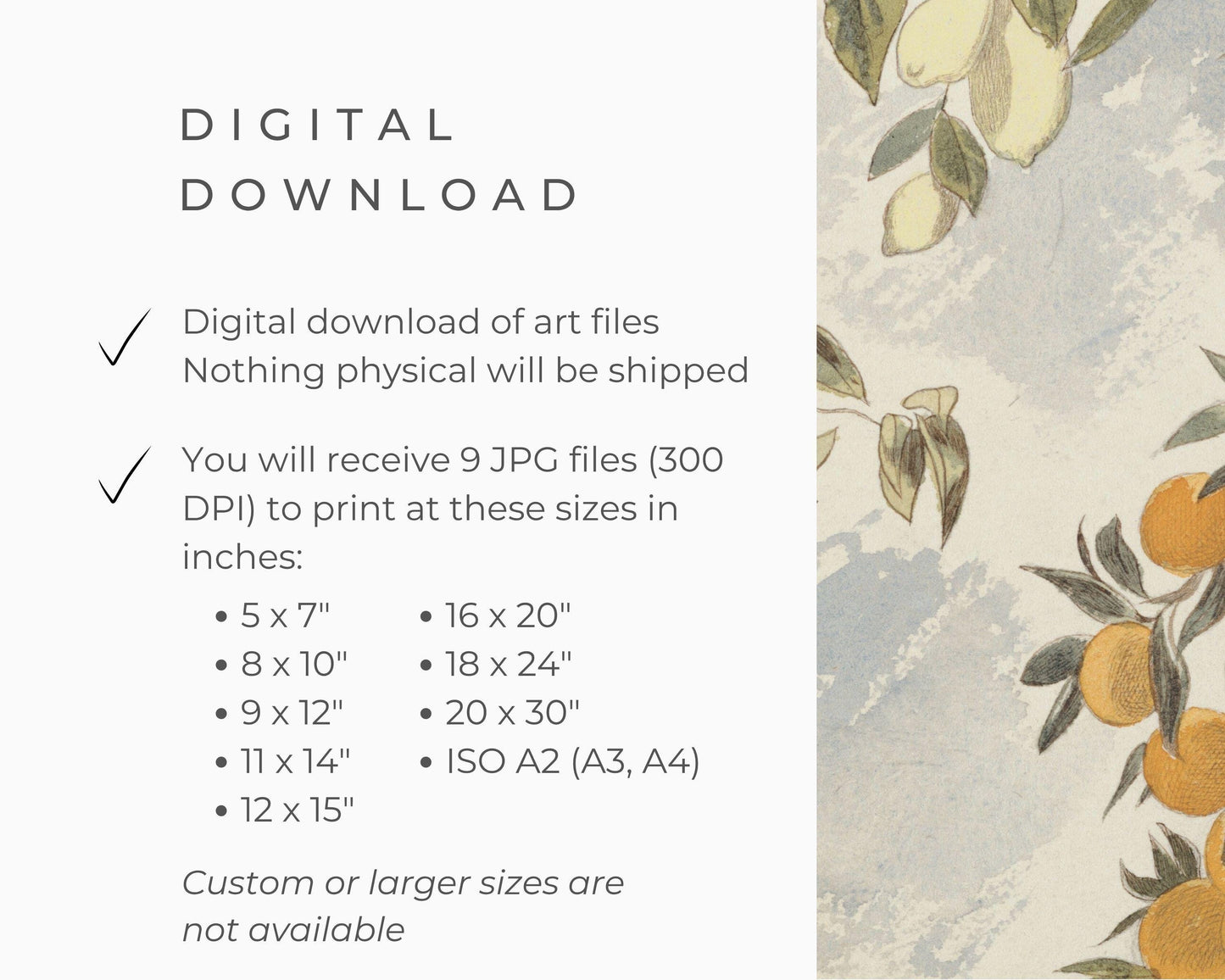 Vintage Orange Tree Printable Wall Art