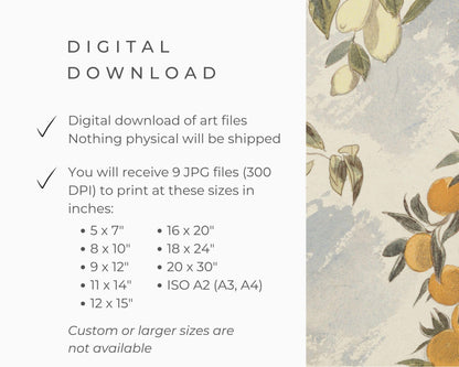 Vintage Orange Tree Printable Wall Art