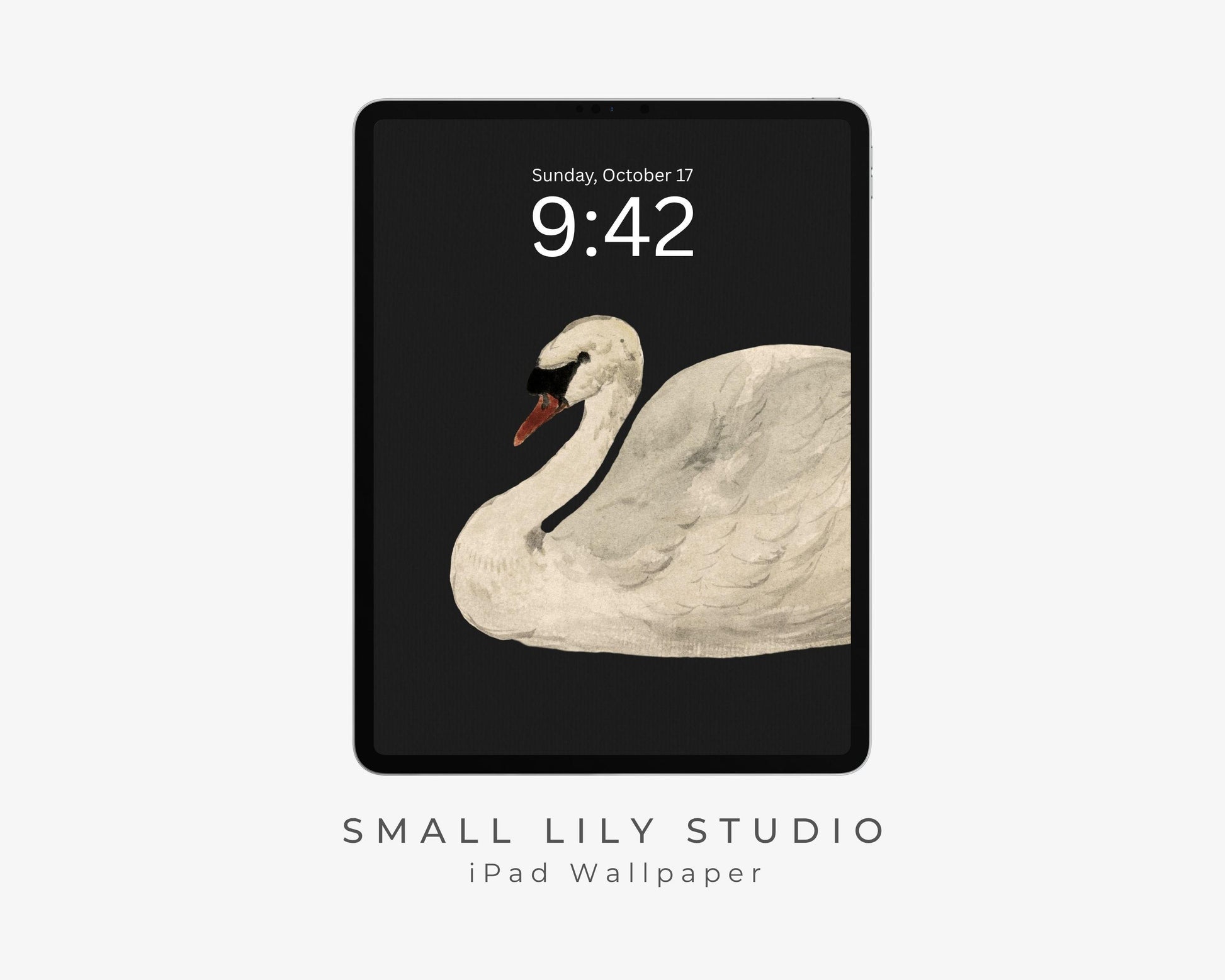 Vintage Swan iPad Wallpaper