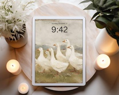 White Geese Desktop Wallpaper Set