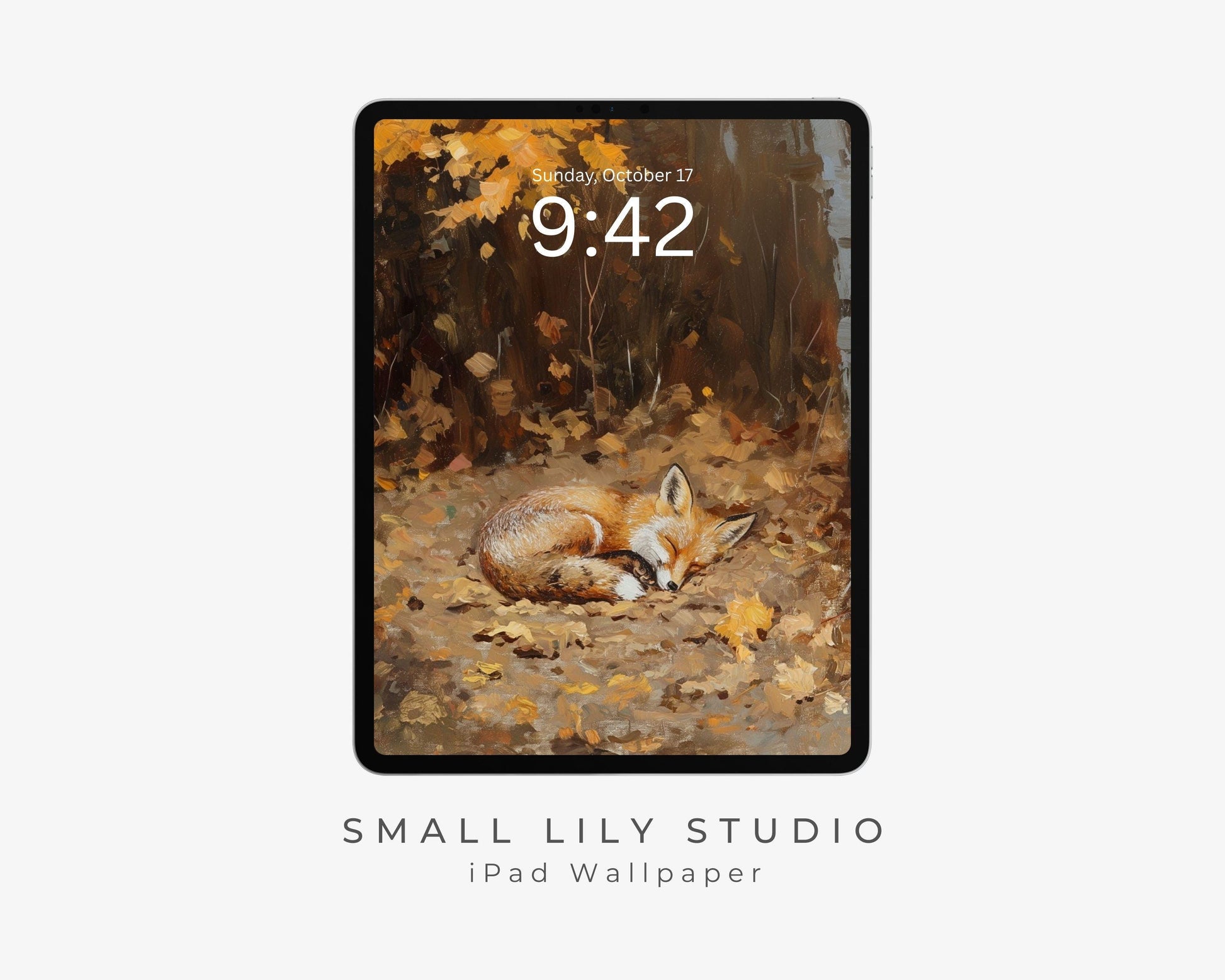 Sleeping Fox iPad Wallpaper