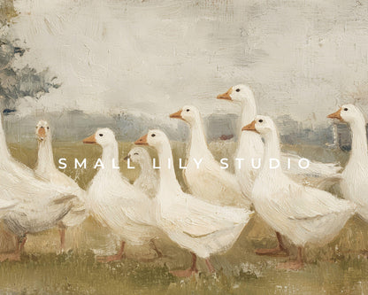 White Geese Desktop Wallpaper Set